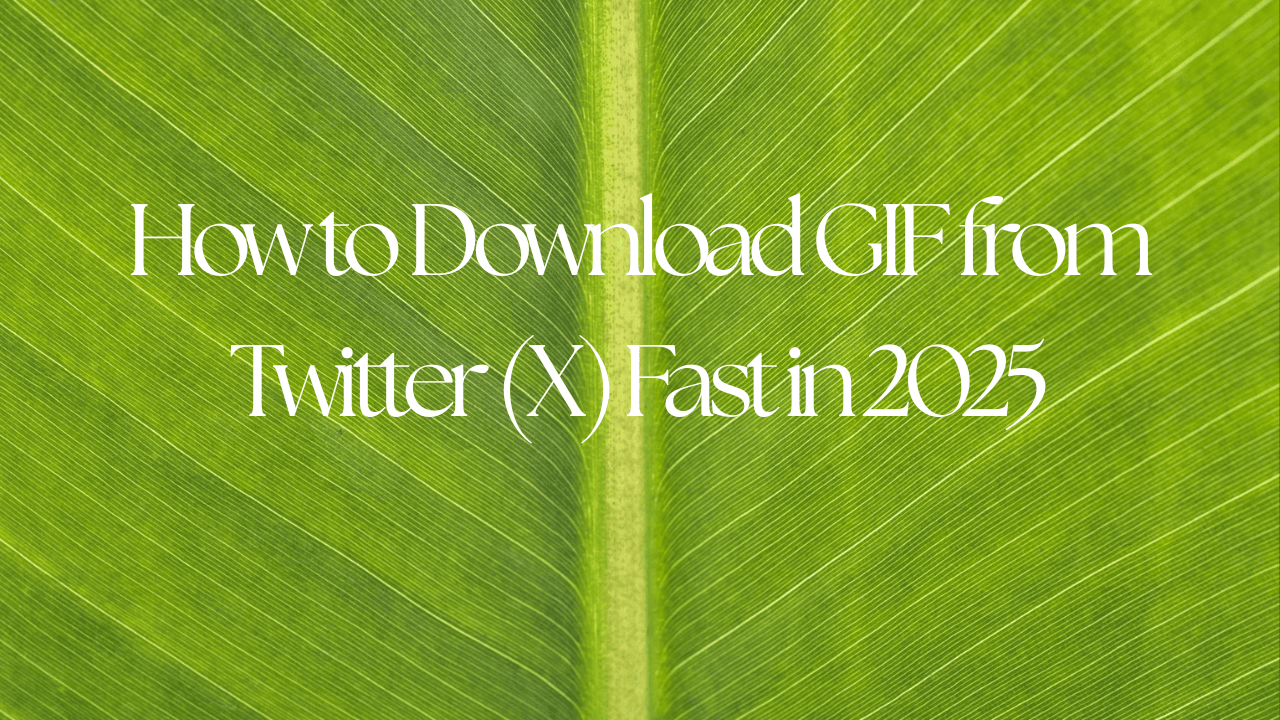 How to Download GIF from Twitter (X) Fast in 2025