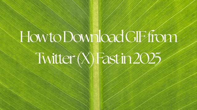 How to Download GIF from Twitter (X) Fast in 2025